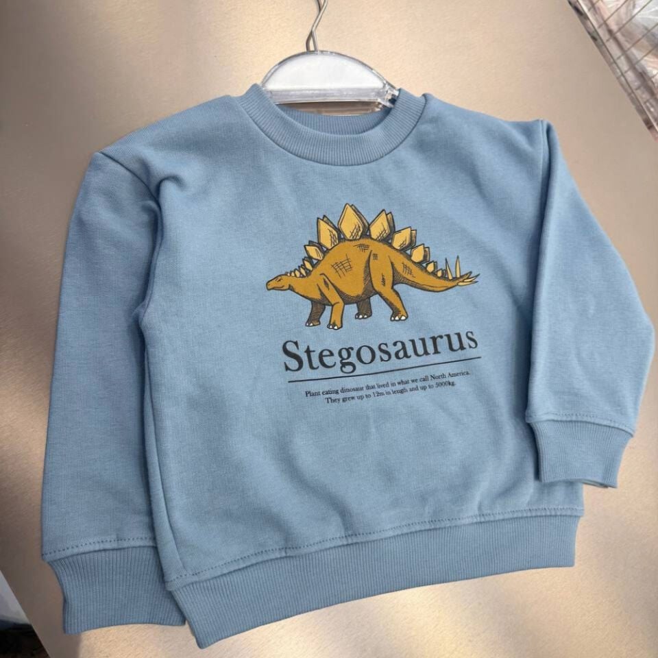 Dinazor Baskılı Sweatshirt