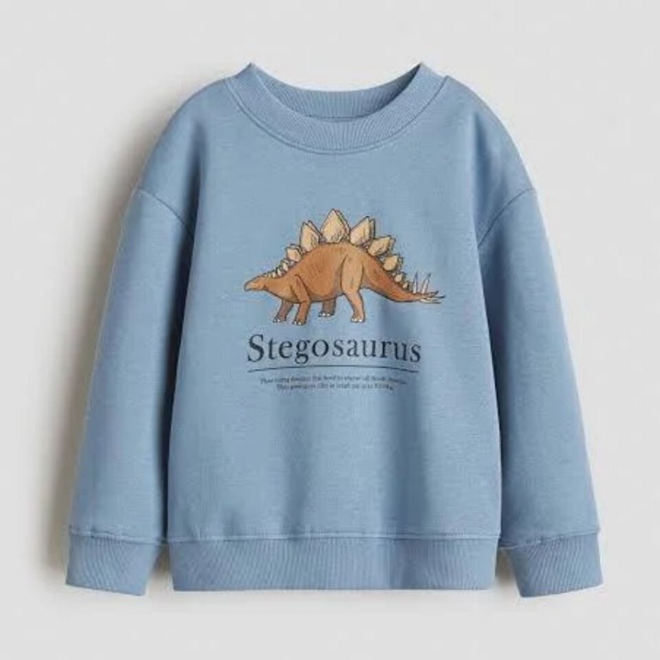 Dinazor Baskılı Sweatshirt